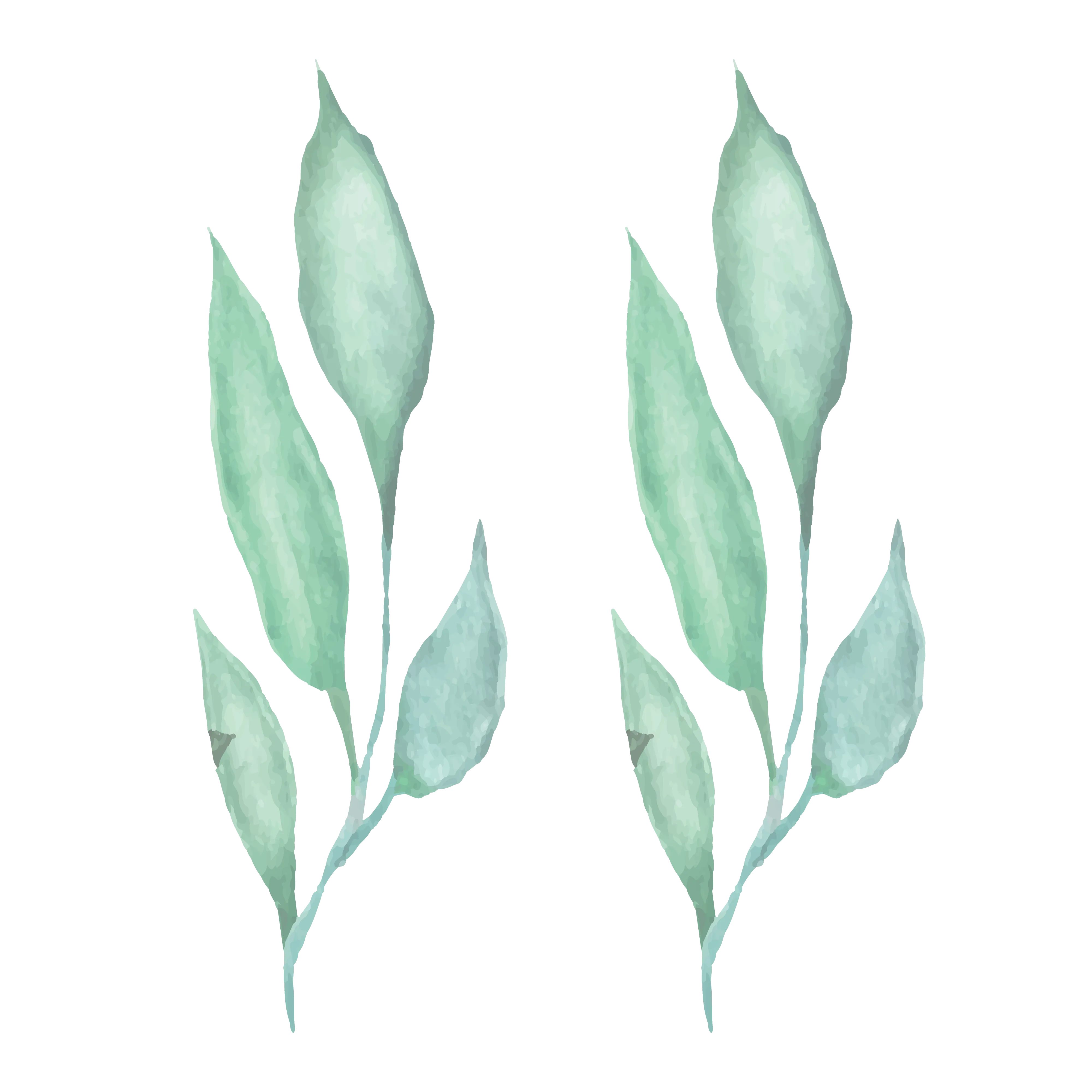 flower bg